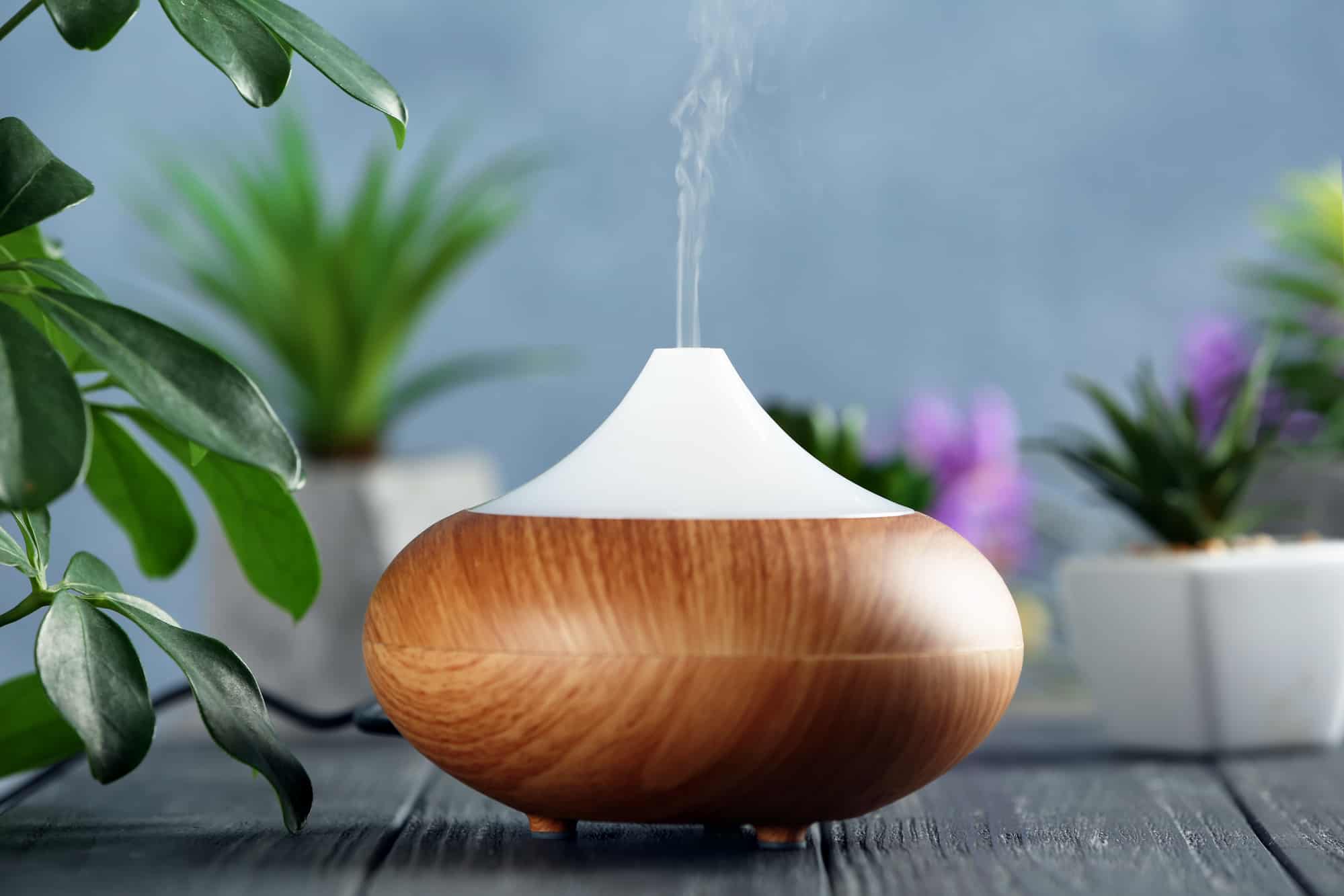 10 Best Essential Oil Diffusers In Canada 2021 - Review & Guide
