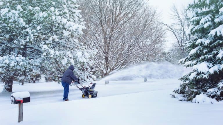 5 Best Snow Blowers In Canada 2019 – Review & Guide