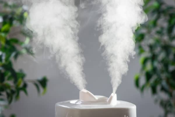 The Best Humidifiers In Canada 2021 – Review & Guide
