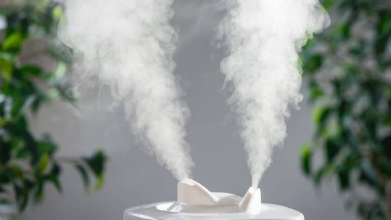 5 Best Humidifiers In Canada 2019 - Review & Guide