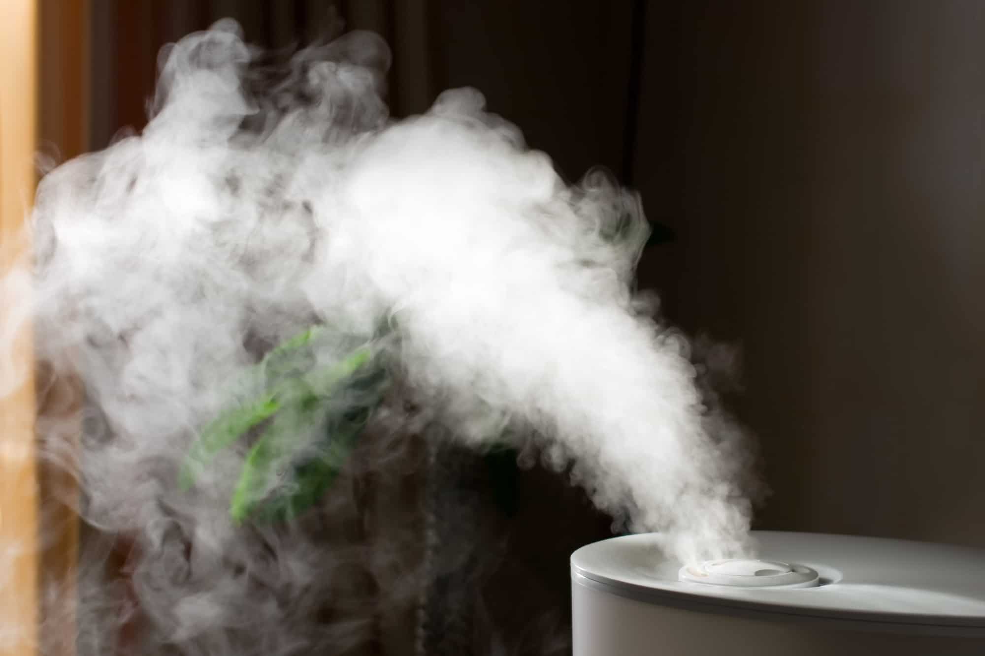 What To Look For In A Humidifier